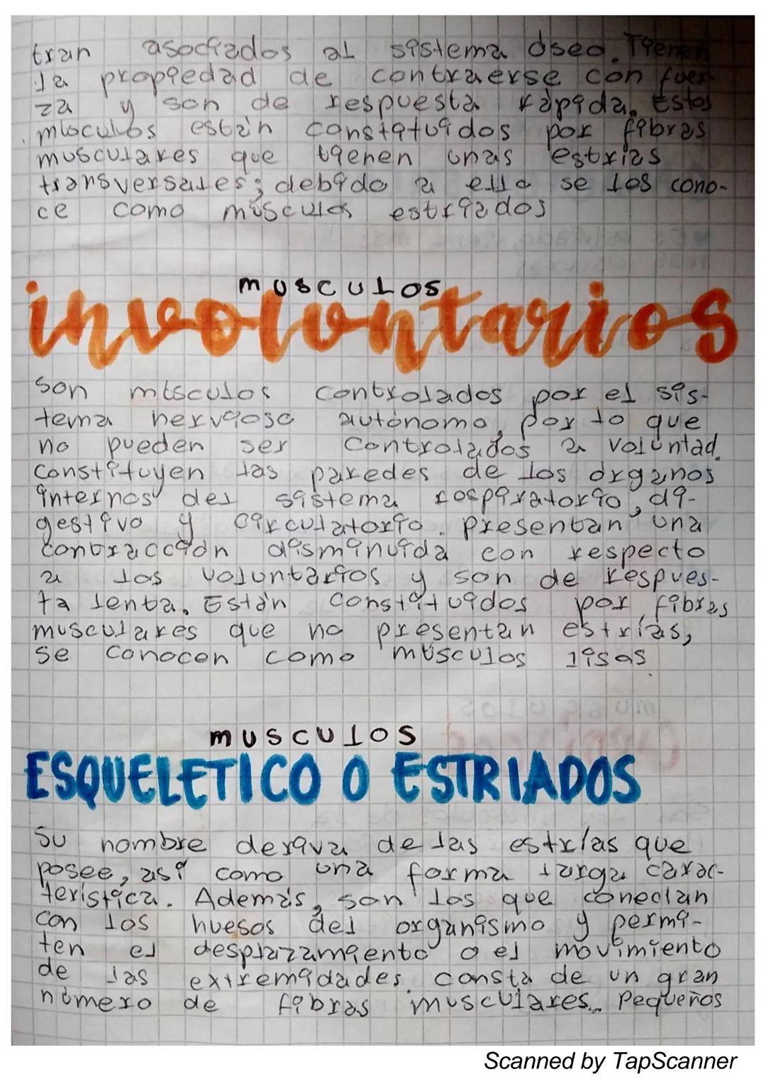 EL Sistema
MUSCULO
El sistema muscular es el que permite at
Cuerpo realizar el movimiento además de man-
Ja
Ja estabilidad. Este siste-
encu