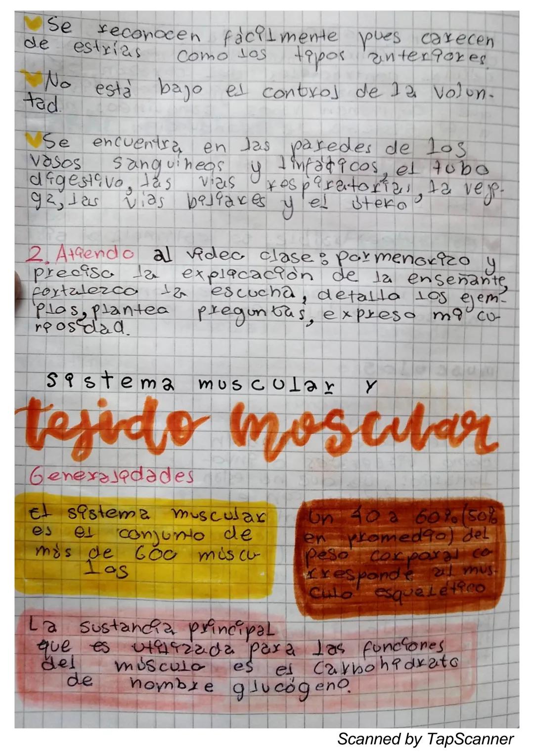 EL Sistema
MUSCULO
El sistema muscular es el que permite at
Cuerpo realizar el movimiento además de man-
Ja
Ja estabilidad. Este siste-
encu