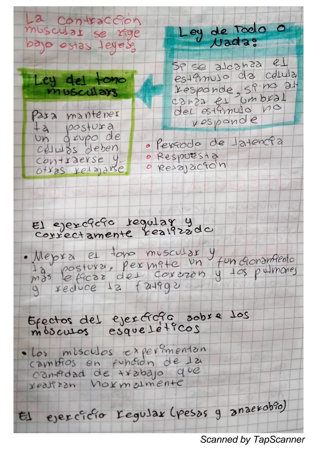 EL Sistema
MUSCULO
El sistema muscular es el que permite at
Cuerpo realizar el movimiento además de man-
Ja
Ja estabilidad. Este siste-
encu