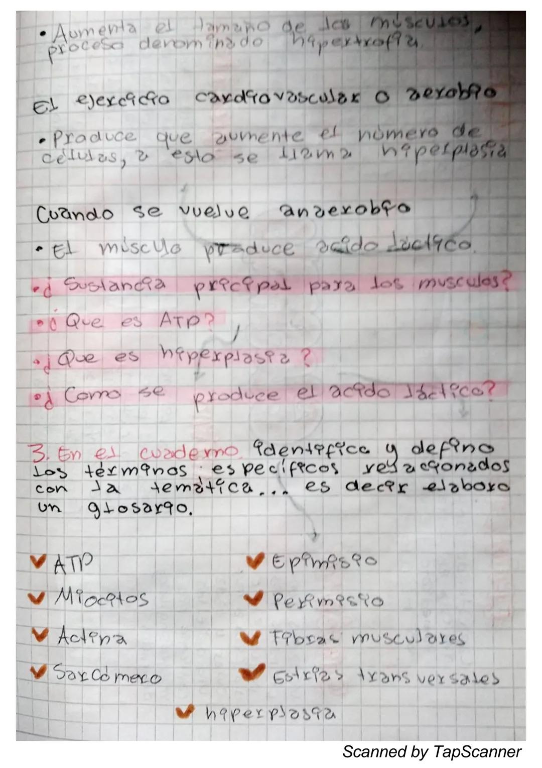 EL Sistema
MUSCULO
El sistema muscular es el que permite at
Cuerpo realizar el movimiento además de man-
Ja
Ja estabilidad. Este siste-
encu