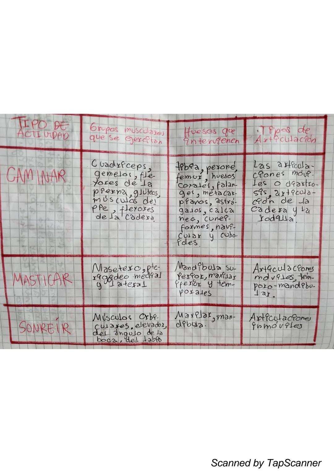 EL Sistema
MUSCULO
El sistema muscular es el que permite at
Cuerpo realizar el movimiento además de man-
Ja
Ja estabilidad. Este siste-
encu
