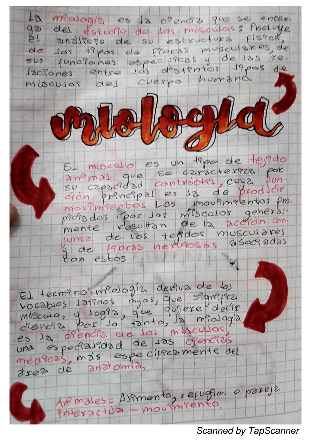 EL Sistema
MUSCULO
El sistema muscular es el que permite at
Cuerpo realizar el movimiento además de man-
Ja
Ja estabilidad. Este siste-
encu