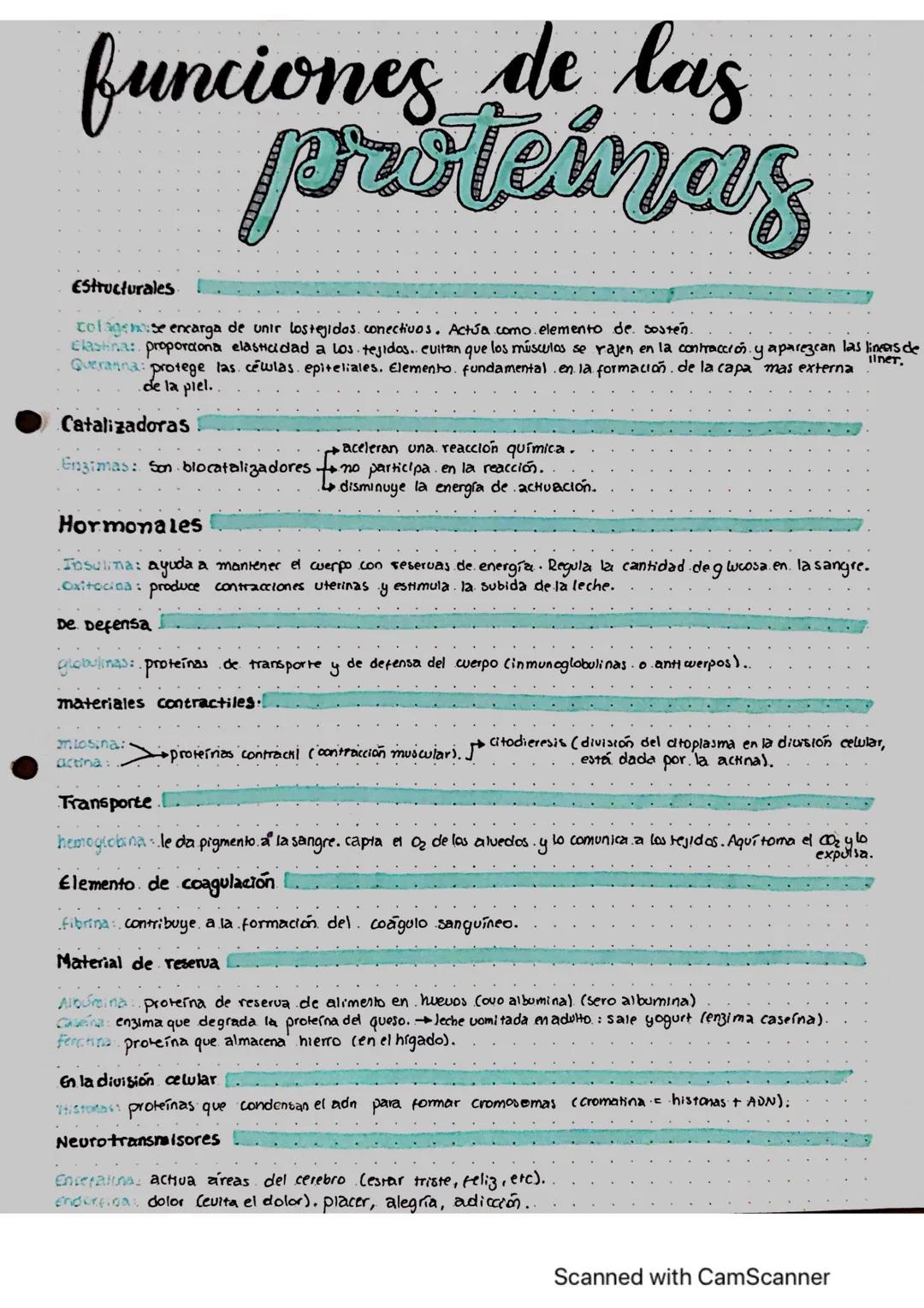 FUNCIONES DE LAS PROTEINAS