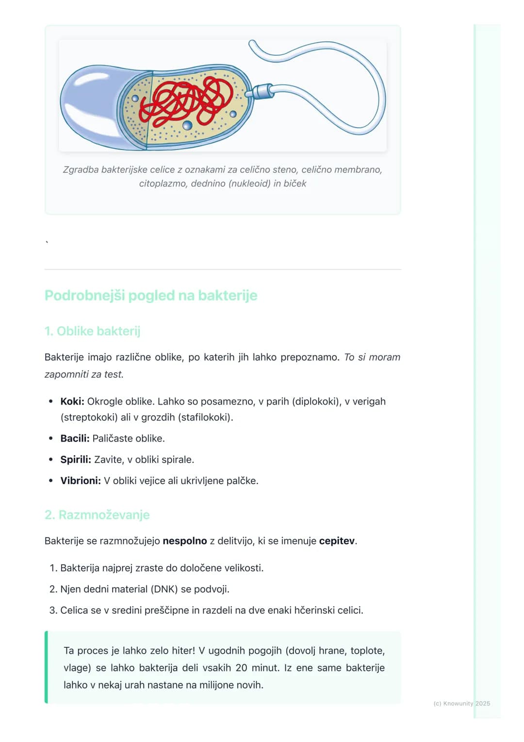 # Bakterije - mikroskopski
prebivalci
Kaj so bakterije?
Bakterije so majhni, enocelični organizmi, ki jih najdemo povsod okoli nas v
zraku