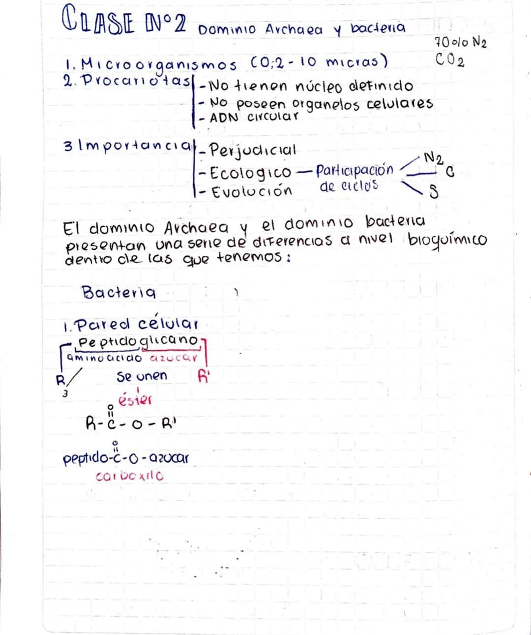 # DOMINIO ARCHAEA
Este dominio constituye una de las 3 principales ramas del árbol de la vida.
Para una definición más detallada estos son
