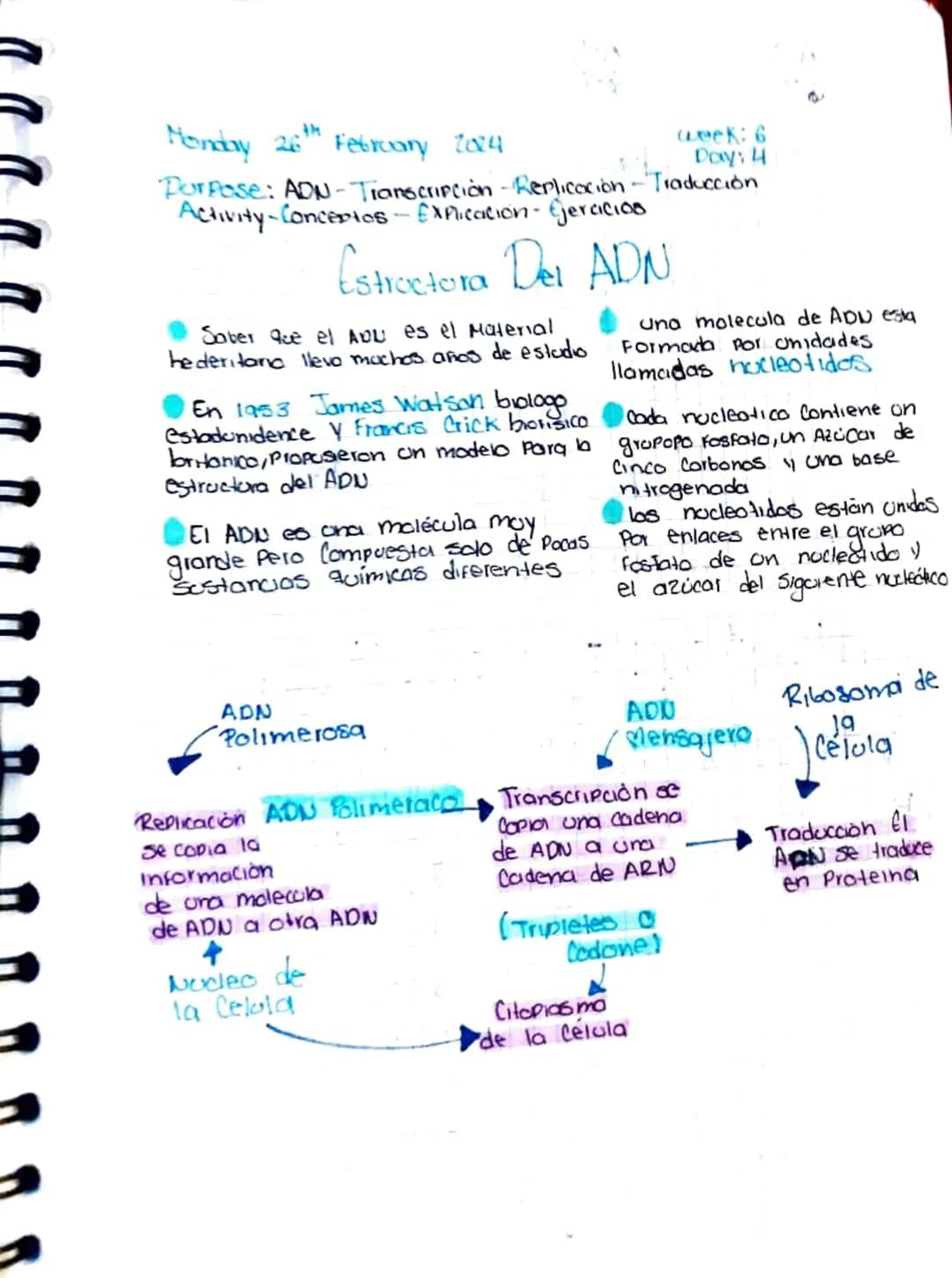 Monday 26th February 2014
week: 6
Day: 4
Purpose: ADN-Tianscripción - Replicación-T -Traducción
Activity-Conceptos-Explicación - Ejercicios
