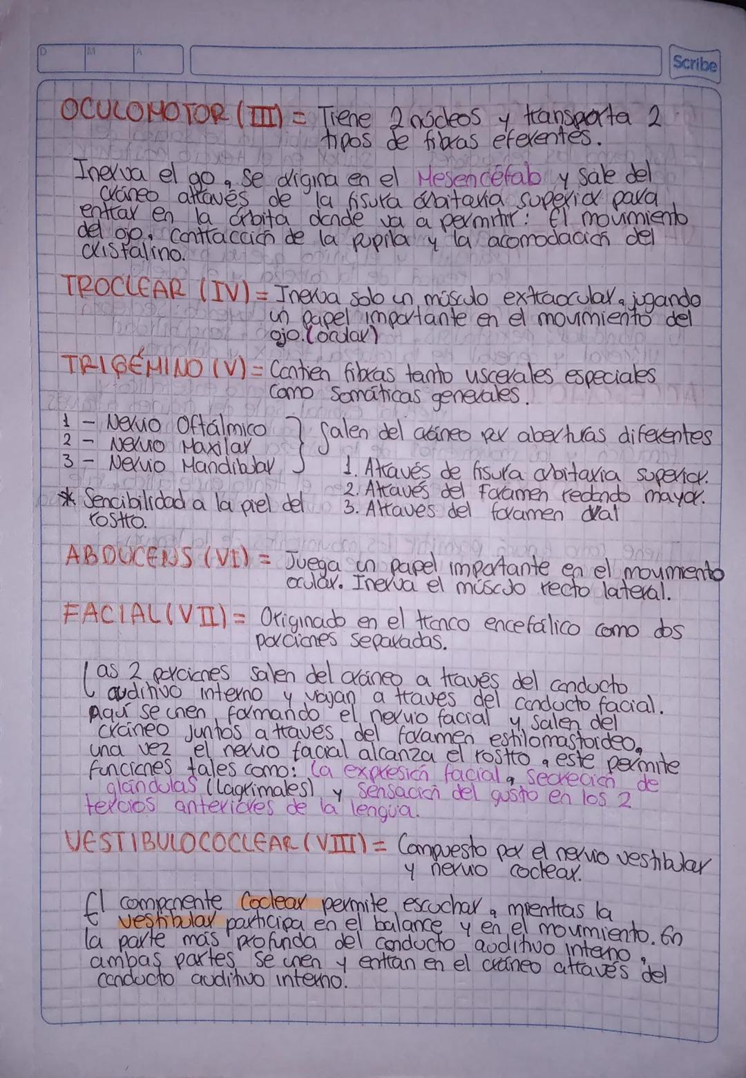 Scribe
Medidas generales:
4000000
Mango = ABC importante ura aerea
futax Blancoaspatacknes
MOTORIZACION
DE RESPUESTA
- Popilas
- F. Respir