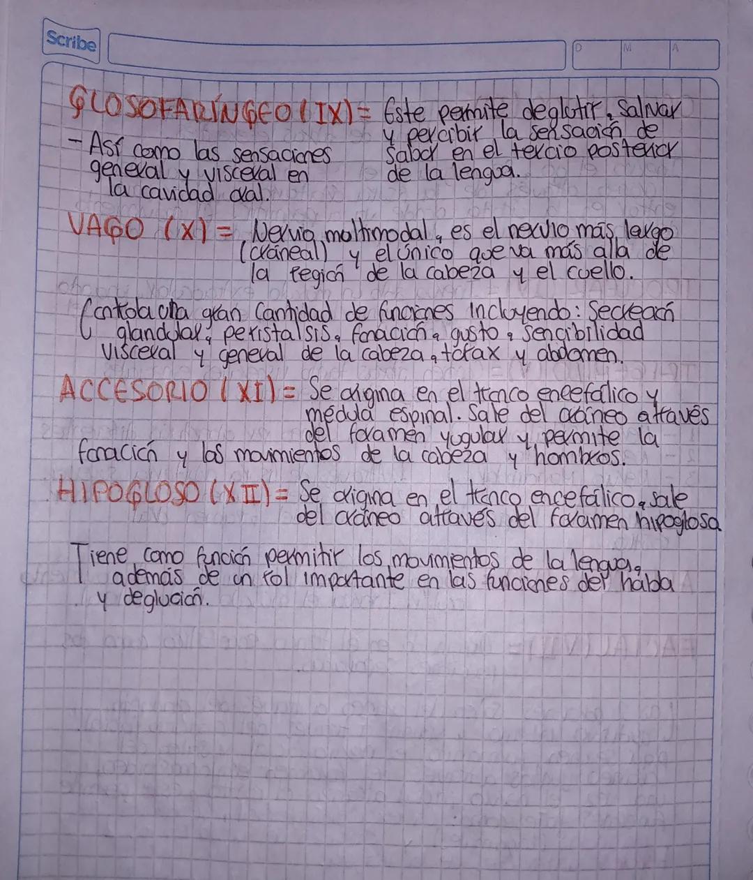 Scribe
Medidas generales:
4000000
Mango = ABC importante ura aerea
futax Blancoaspatacknes
MOTORIZACION
DE RESPUESTA
- Popilas
- F. Respir