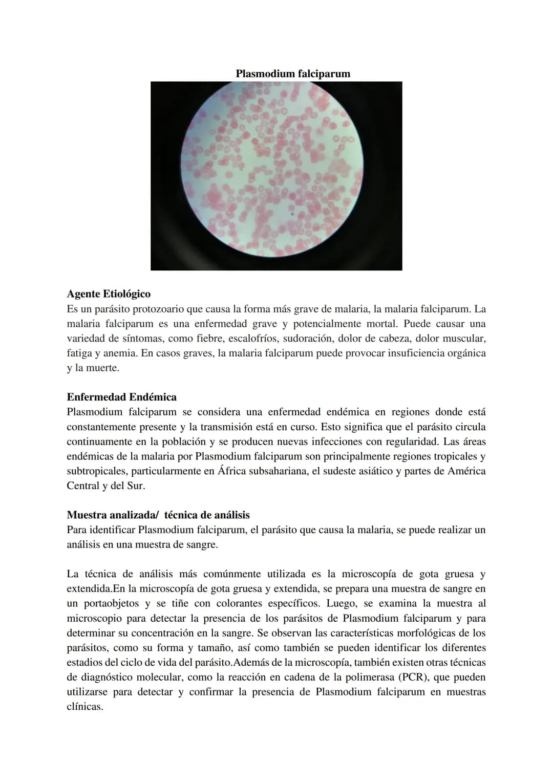 # Dengue
1
### Agente Etiológico
Es un virus de la familia Flaviridae, género Flavivirus. Los virus del dengue son virus de ARN pequeños, en