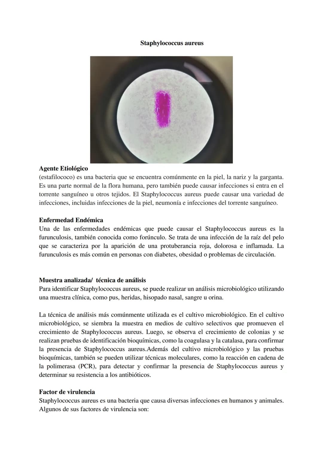 # Dengue
1
### Agente Etiológico
Es un virus de la familia Flaviridae, género Flavivirus. Los virus del dengue son virus de ARN pequeños, en
