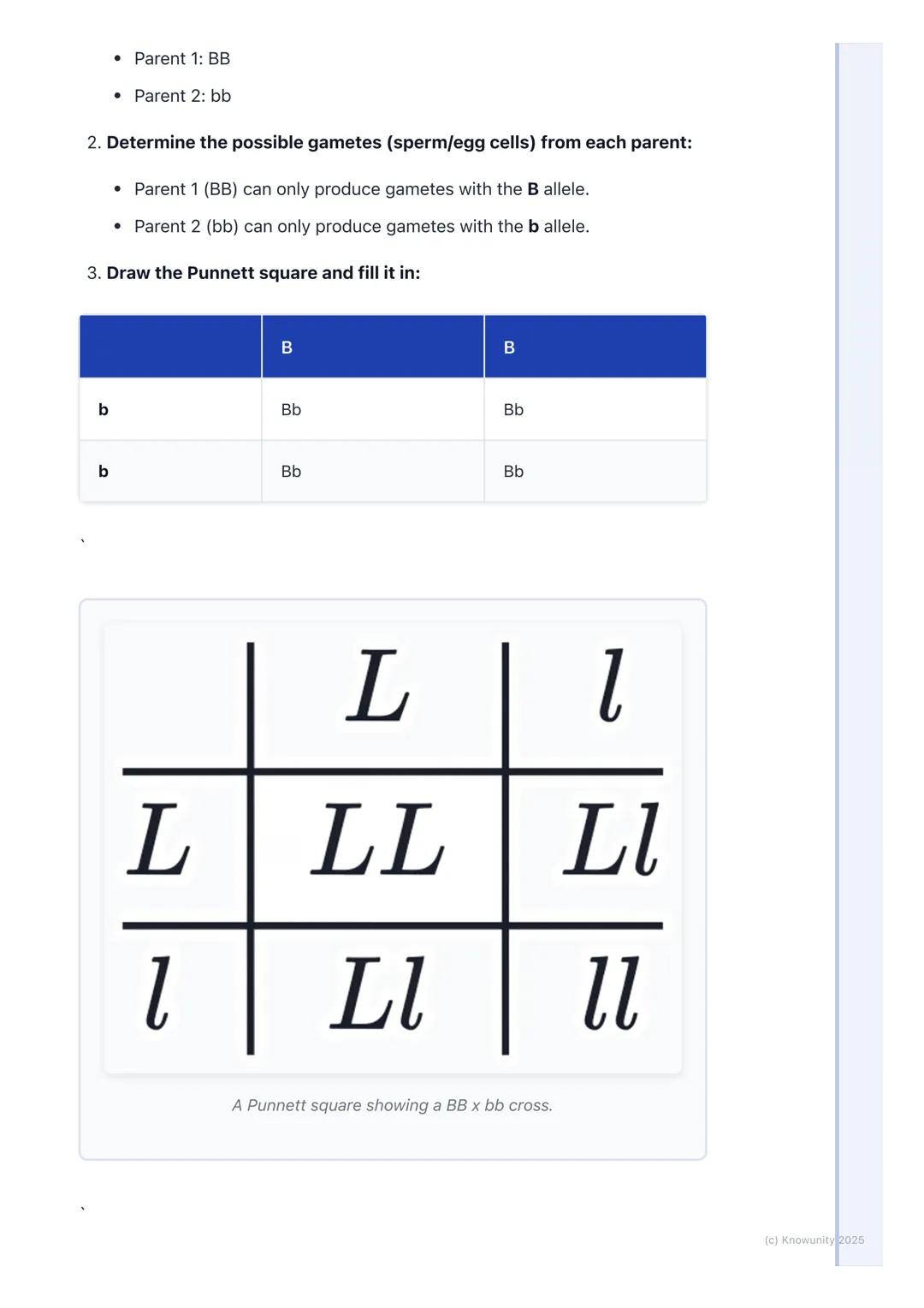 # Alleles and Inheritance
What are alleles and inheritance?
This is about how we get our traits, like eye colour or hair colour, from our