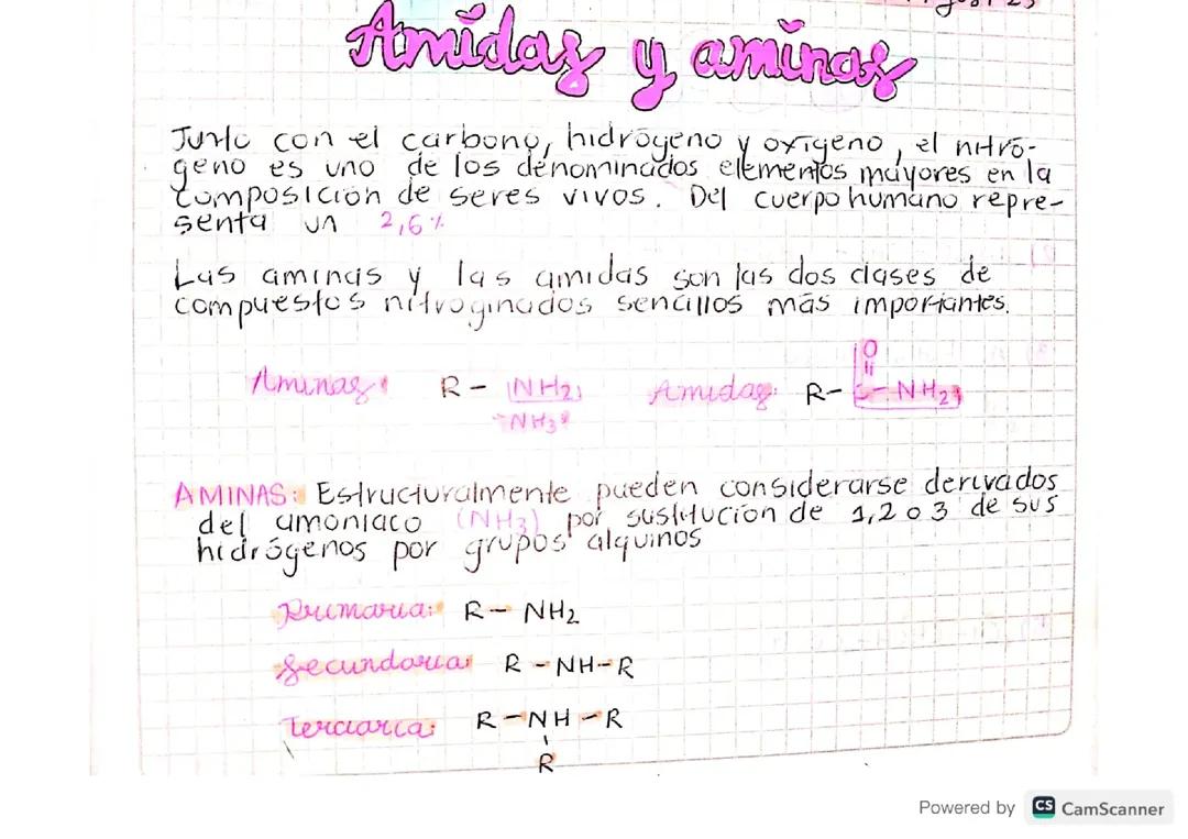 Aminas y Amidas: Definición y Reglas