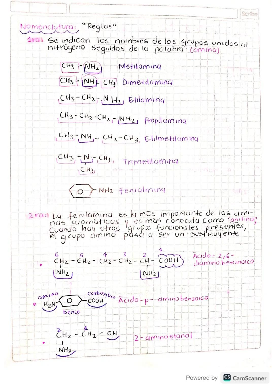 Ariday y aminas
Junto con el carbono, hidrogeno y oxigeno, al nitro-
geno es uno de los denominados elementos mayores en la
Composición de s