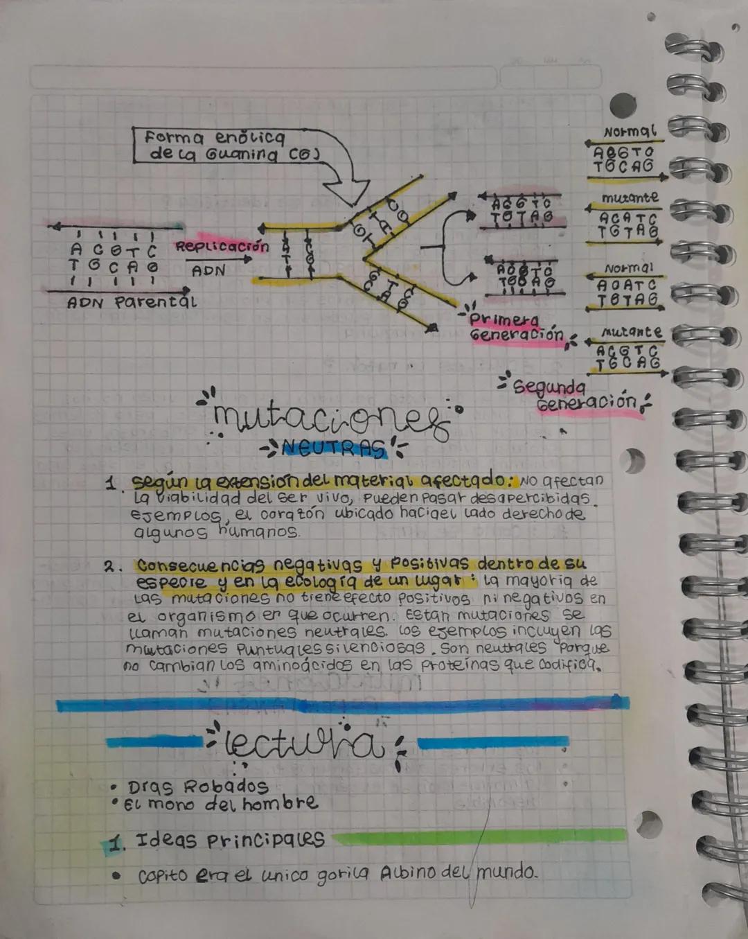 Forma enolicg
de la Guaning cos
AGOTC Replicación
TGCAO ADN
11 111
ADN Parental
AGGIO
TOTAO
Normal
ABGTO
TOCAG
mutante
ACATC
TOTAG
A