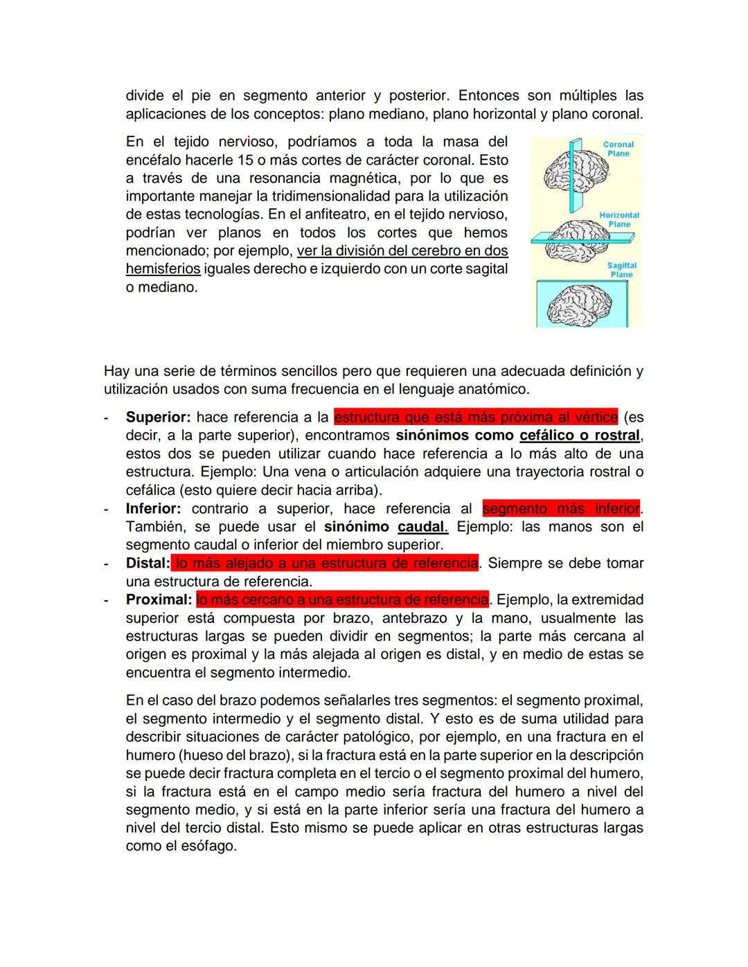 # 02 - Morfofisiología 1 - 21102020 - Generalidades de morfología - Els
GENERALIDADES DE MORFOLOGÍA
Evidentemente, hay una serie de inquie