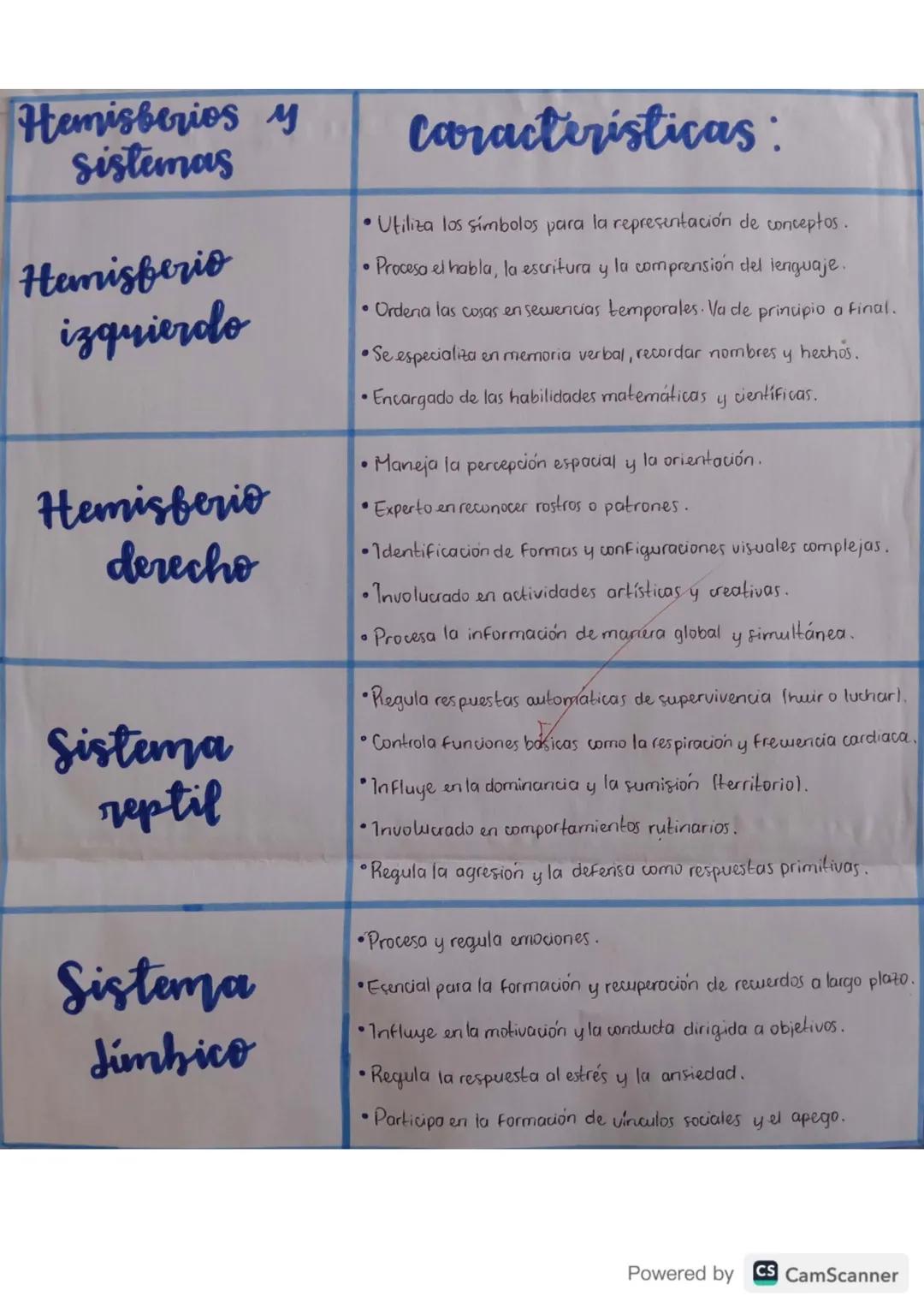 Hemisferio izquierdo:
controla los muisculos del
lado derecho del werpo
Hemisferio derecho:
controla los muisculos del lado
zquierdo del we