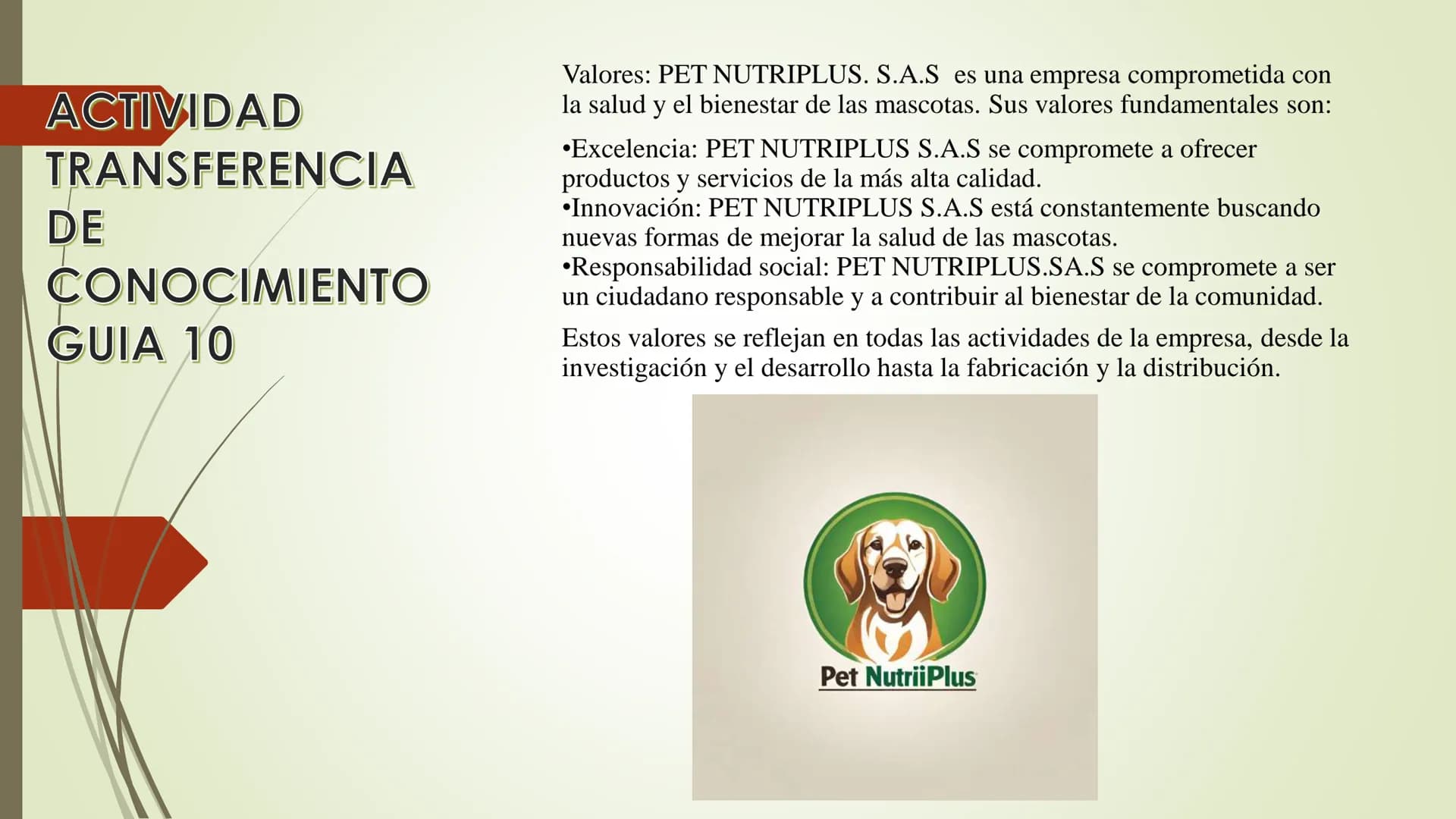 CONTENIDO # OBJETIVO GENERAL
Diseñar una red de distribución de
alimentos y accesorios para
mascotas a través de plataformas
digitales de re