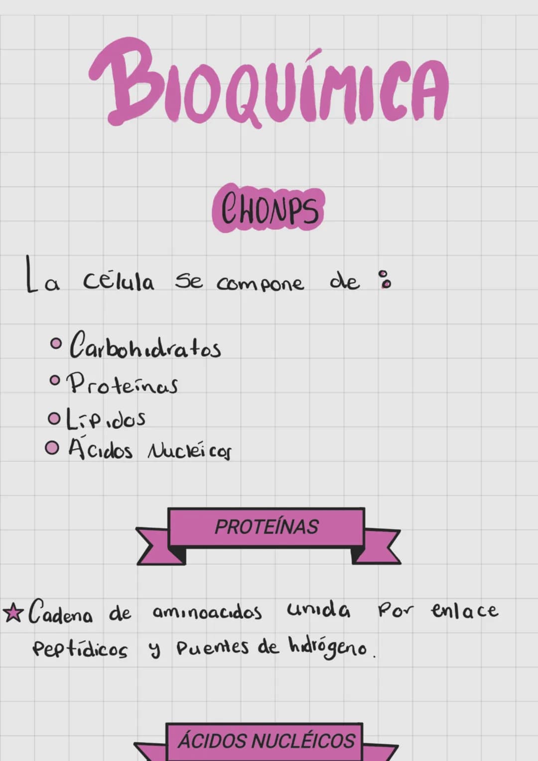 # BIOQUÍMICA
CHONPS
La célula se compone de :
* Carbohidratos
* Proteínas
* Lípidos
* Ácidos Nucleicos
## PROTEÍNAS
⭐ Cadena de aminoáci