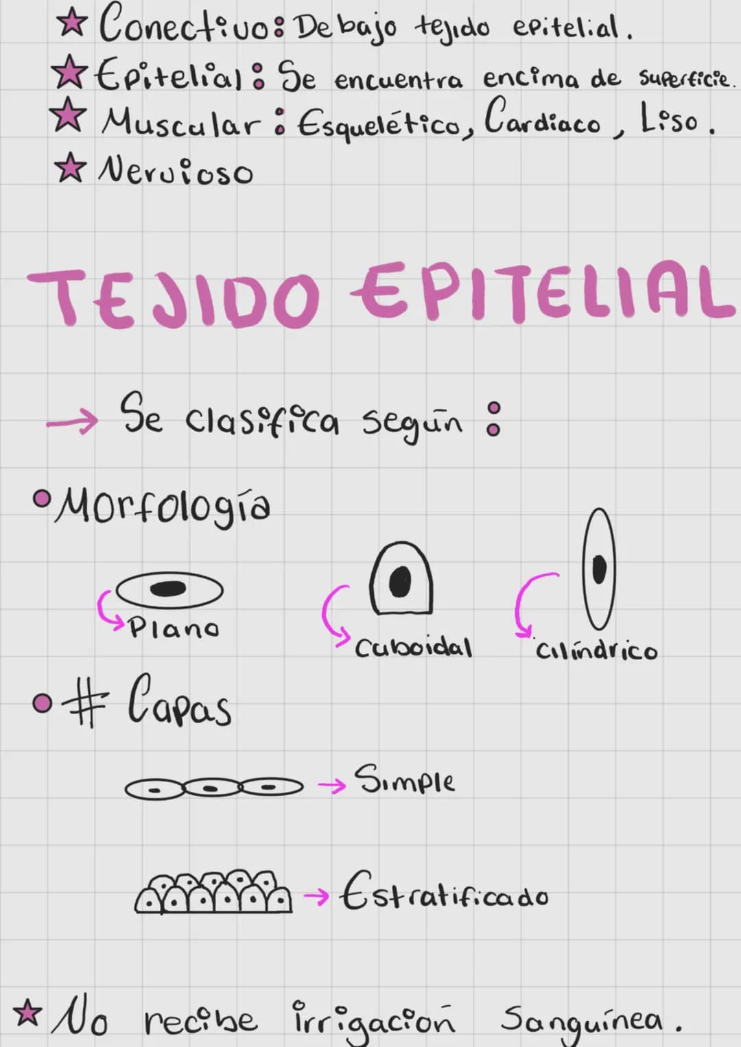 # BIOQUÍMICA
CHONPS
La célula se compone de :
* Carbohidratos
* Proteínas
* Lípidos
* Ácidos Nucleicos
## PROTEÍNAS
⭐ Cadena de aminoáci