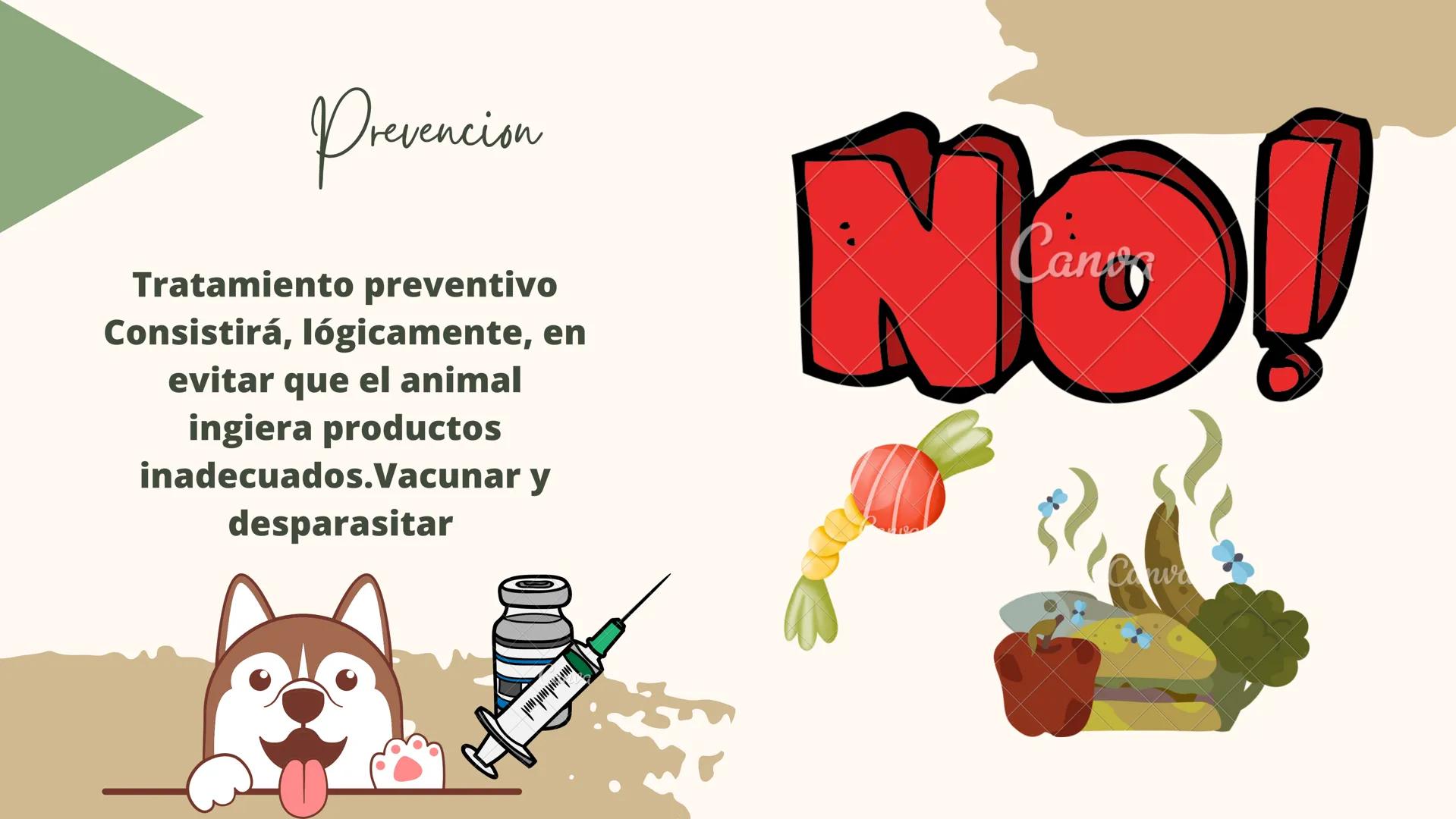 GASTROENTERITIS # Generalidades
La gastroenteritis es una
inflamación del estómago y del
intestino delgado causada por
protozoarios, virus