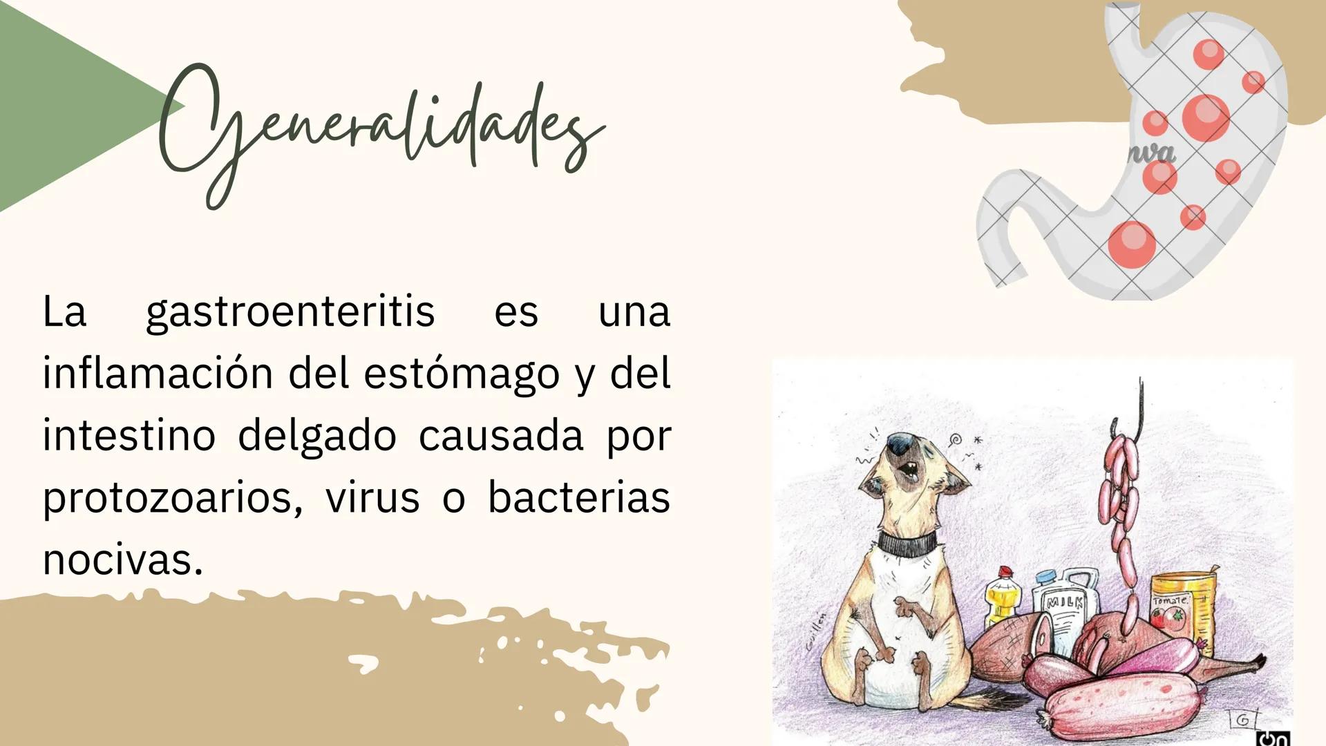 GASTROENTERITIS # Generalidades
La gastroenteritis es una
inflamación del estómago y del
intestino delgado causada por
protozoarios, virus