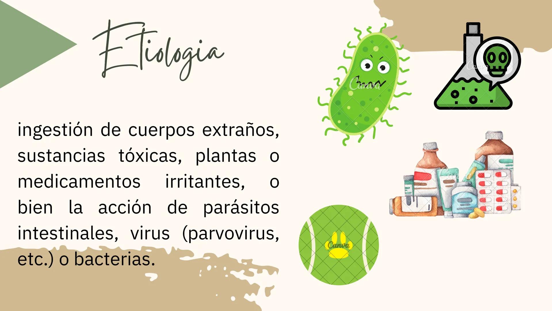 GASTROENTERITIS # Generalidades
La gastroenteritis es una
inflamación del estómago y del
intestino delgado causada por
protozoarios, virus
