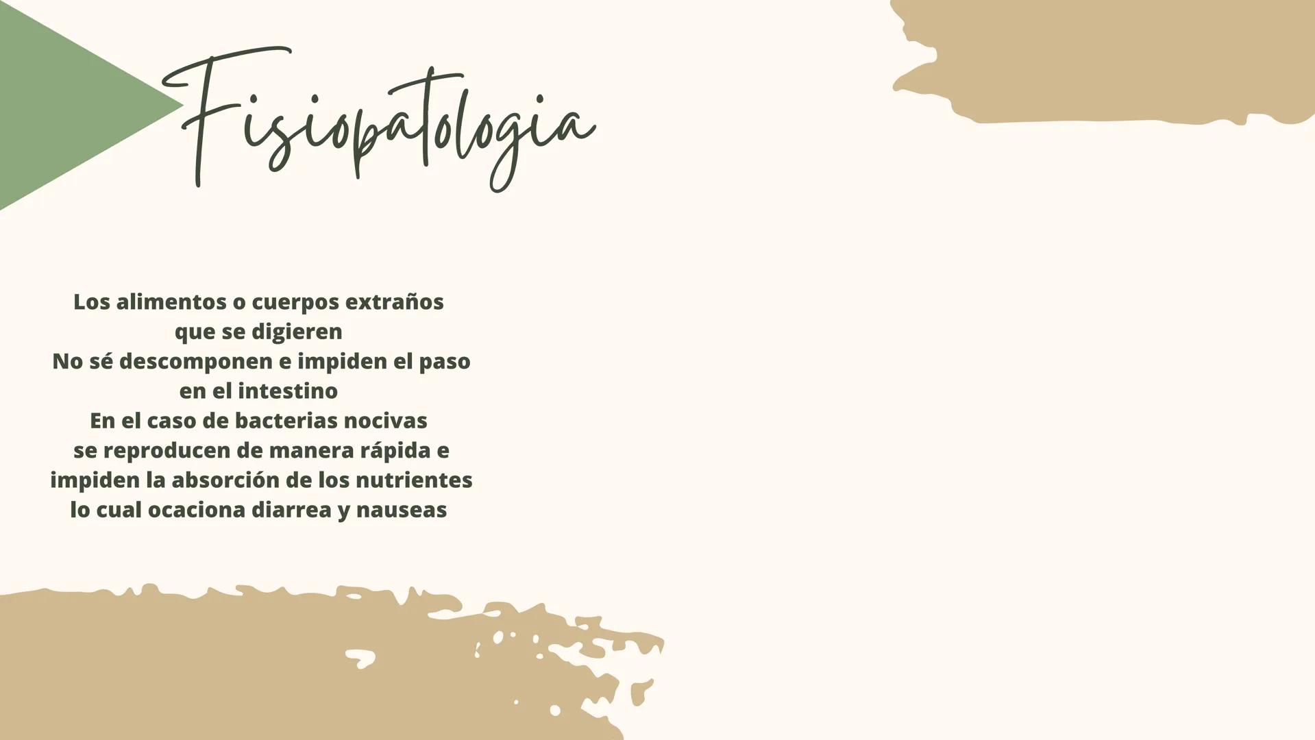 GASTROENTERITIS # Generalidades
La gastroenteritis es una
inflamación del estómago y del
intestino delgado causada por
protozoarios, virus