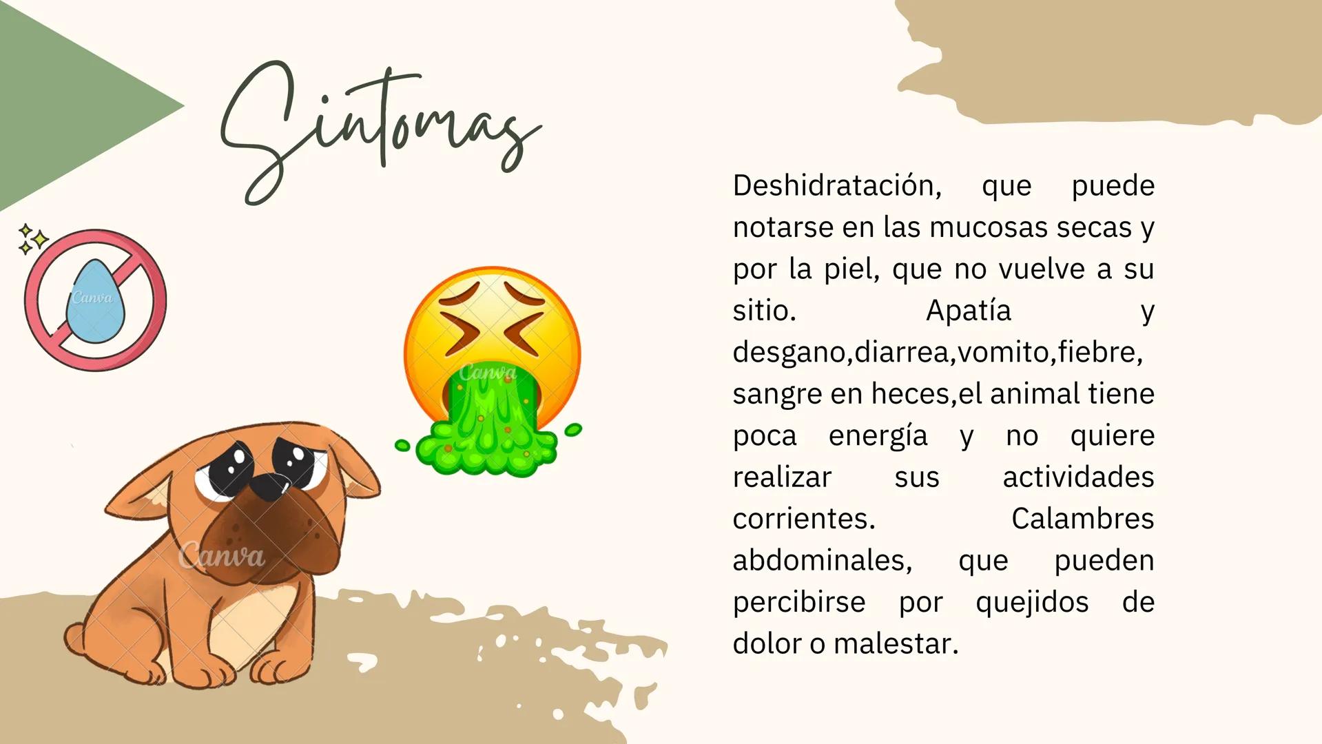 GASTROENTERITIS # Generalidades
La gastroenteritis es una
inflamación del estómago y del
intestino delgado causada por
protozoarios, virus
