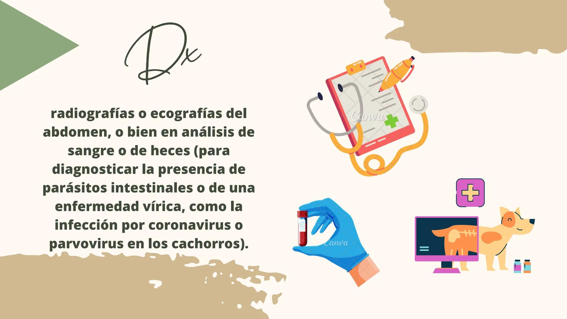 GASTROENTERITIS # Generalidades
La gastroenteritis es una
inflamación del estómago y del
intestino delgado causada por
protozoarios, virus