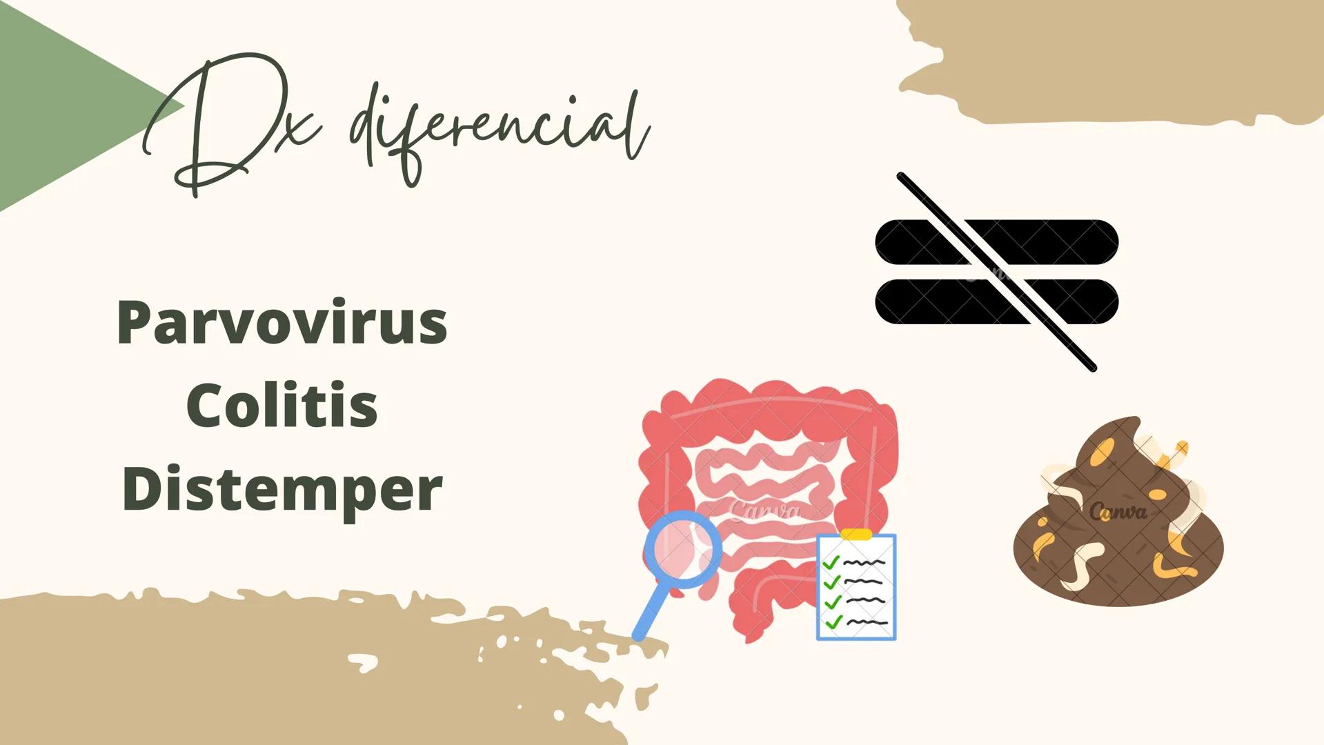 GASTROENTERITIS # Generalidades
La gastroenteritis es una
inflamación del estómago y del
intestino delgado causada por
protozoarios, virus