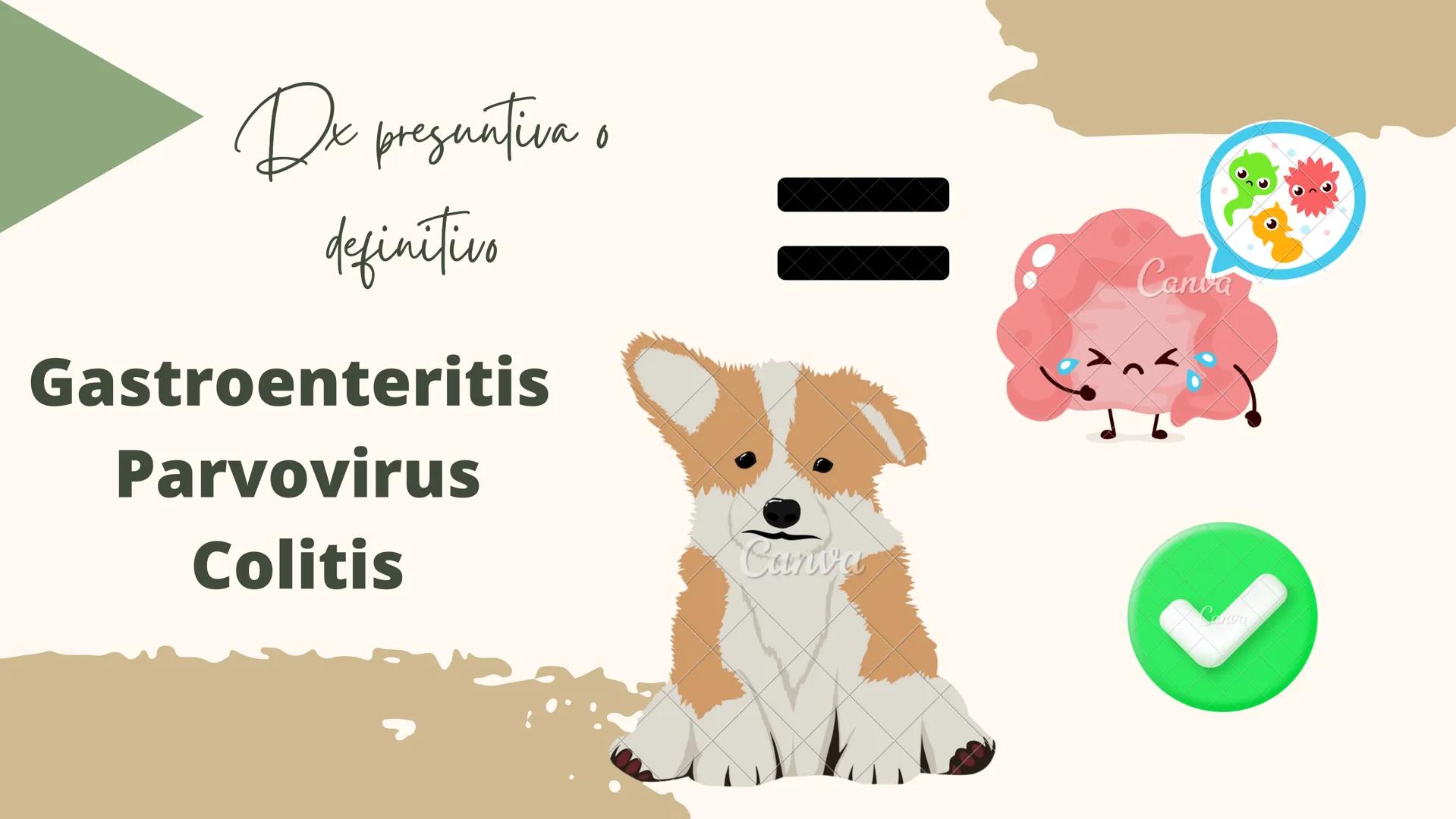 GASTROENTERITIS # Generalidades
La gastroenteritis es una
inflamación del estómago y del
intestino delgado causada por
protozoarios, virus