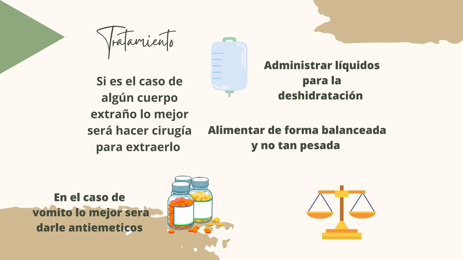 GASTROENTERITIS # Generalidades
La gastroenteritis es una
inflamación del estómago y del
intestino delgado causada por
protozoarios, virus