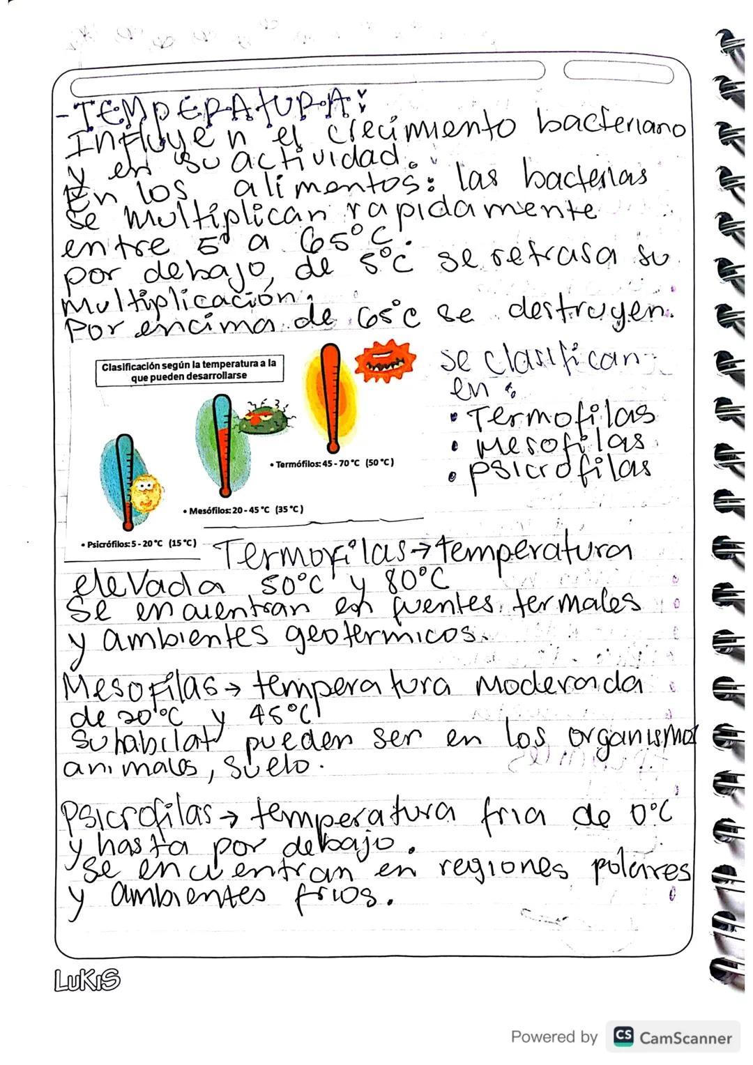 Celula
Madre e
CLASIFICACIÓN: BACTERIANA
-MORFOLOGIA: AGRUPACIÓN
Bacilus forma alargada, como
barras microscopicas, carean de
membran a nucl