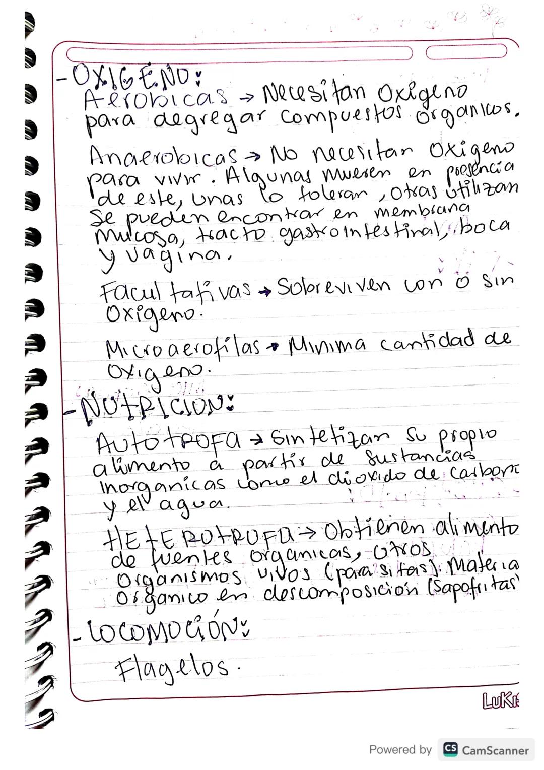 Celula
Madre e
CLASIFICACIÓN: BACTERIANA
-MORFOLOGIA: AGRUPACIÓN
Bacilus forma alargada, como
barras microscopicas, carean de
membran a nucl