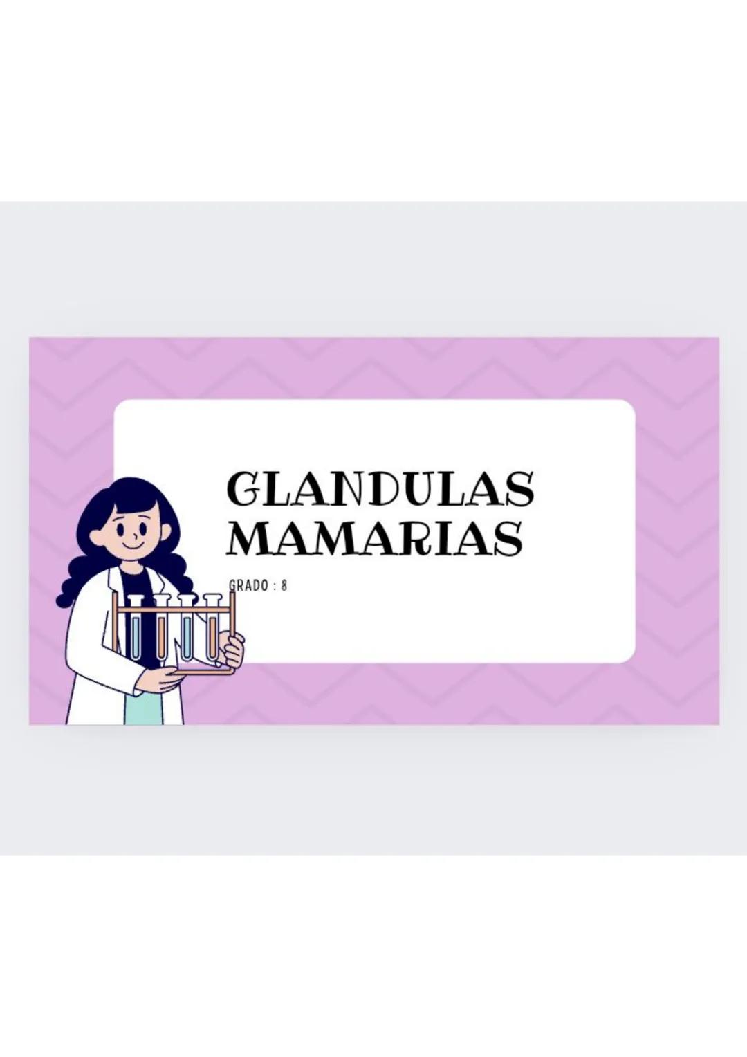 # GLANDULAS
MAMARIAS
GRADO : 8 DEFINICION
órgano glandular ubicado en el pecho.
La glándula mamaria está formada por
tejido conjuntivo, g