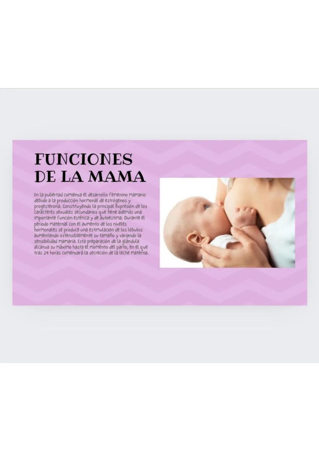 # GLANDULAS
MAMARIAS
GRADO : 8 DEFINICION
órgano glandular ubicado en el pecho.
La glándula mamaria está formada por
tejido conjuntivo, g