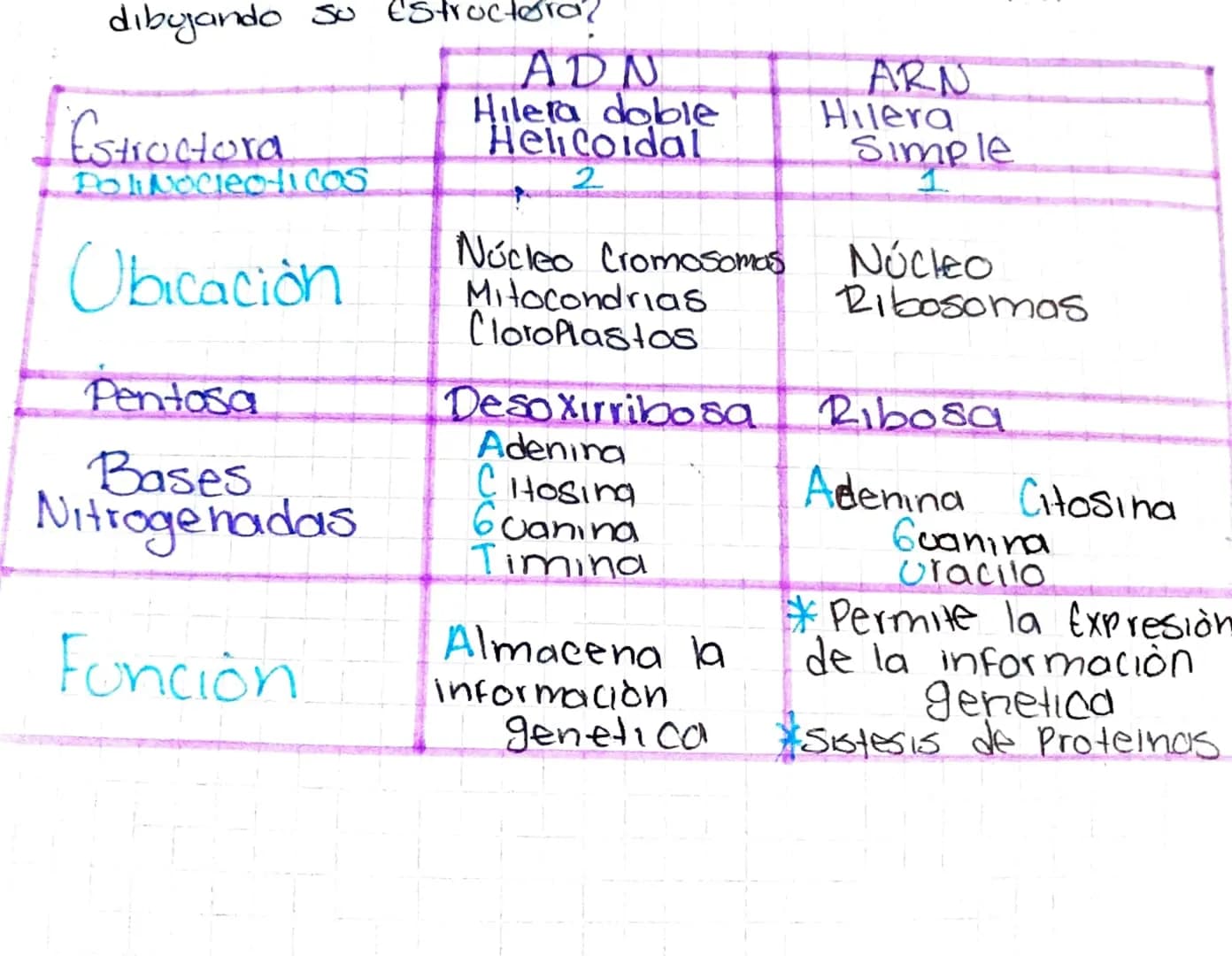 dibujando su Estructora?
| | ADN | ARN |
|---|---|---|
| Estructura Polinucleoticos | Hilera doble Helicoidal 2 | Hilera Simple 1 |
| Ubica
