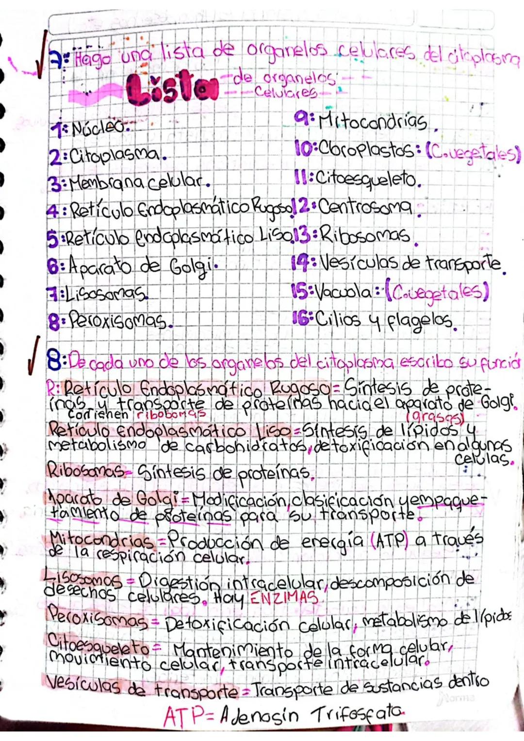 DESARROLLO
1: Que es la célula.
R:Es la unidad estructural y funcional de todos los
Seres vivos.
2: Cuales son los postulados de la teoria c