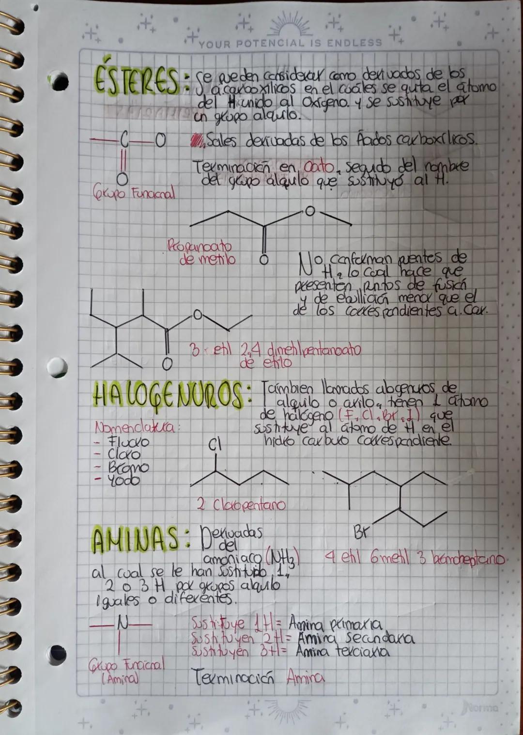 YOUR POTENCIAL IS ENDLESS
++
GRUPOS FUNCIONALES
AICOHOLES: Derivados de bos akaros, a bs
ACCANO
se les quita un
atomo de H
y se sustituye co