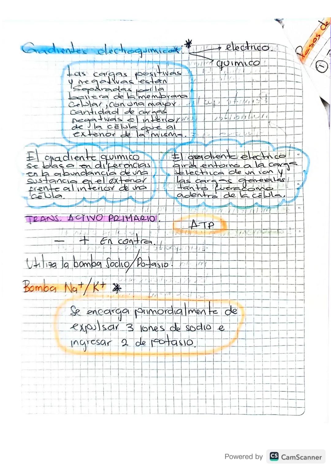 b
Membrana Celular
•Separa a la Celula de su entorno.
muy
• Contruir una barrera Con permeabilidad
selectiva, controlando el intercambio de