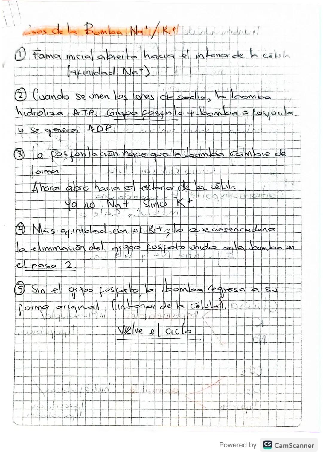 b
Membrana Celular
•Separa a la Celula de su entorno.
muy
• Contruir una barrera Con permeabilidad
selectiva, controlando el intercambio de