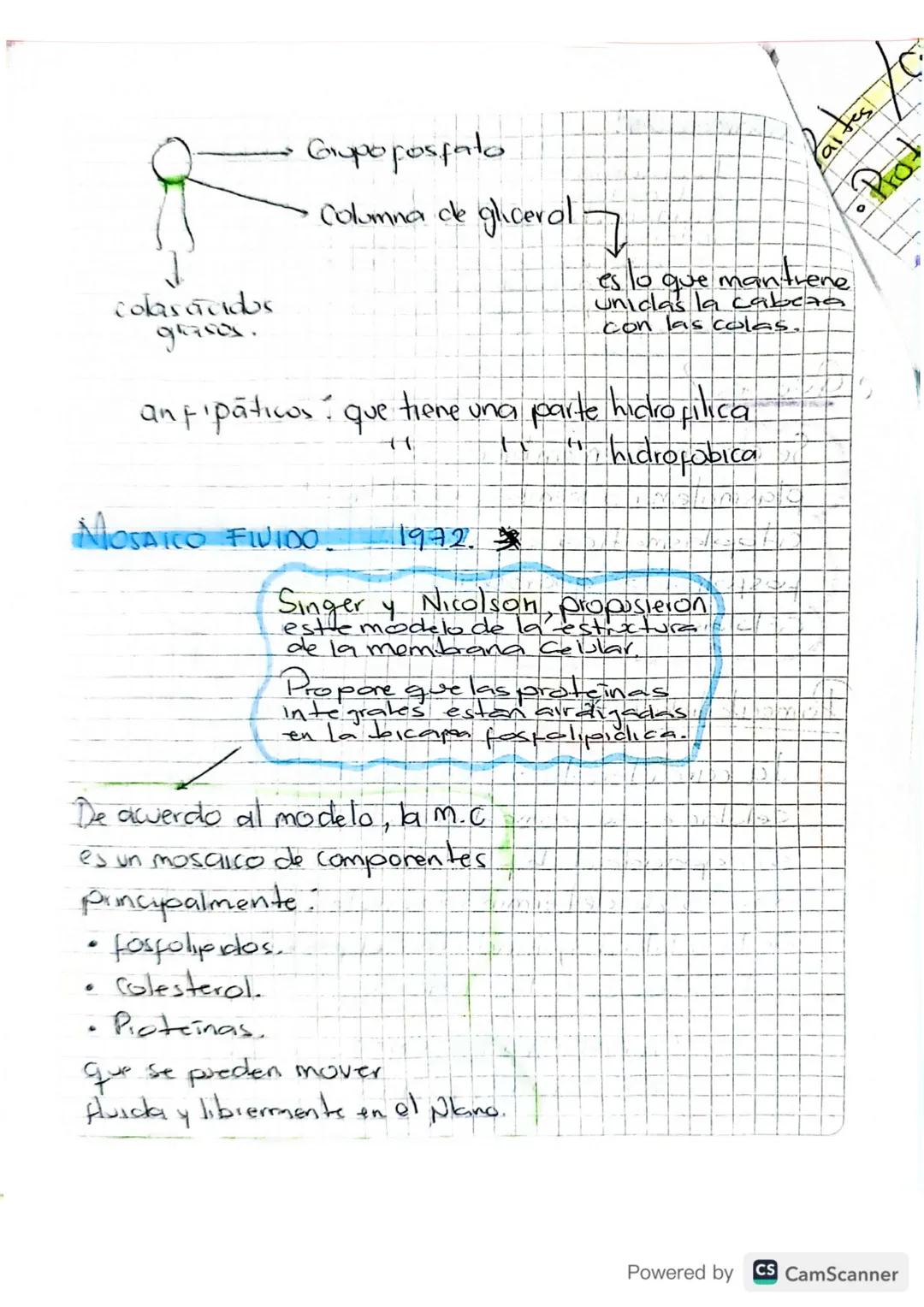 b
Membrana Celular
•Separa a la Celula de su entorno.
muy
• Contruir una barrera Con permeabilidad
selectiva, controlando el intercambio de