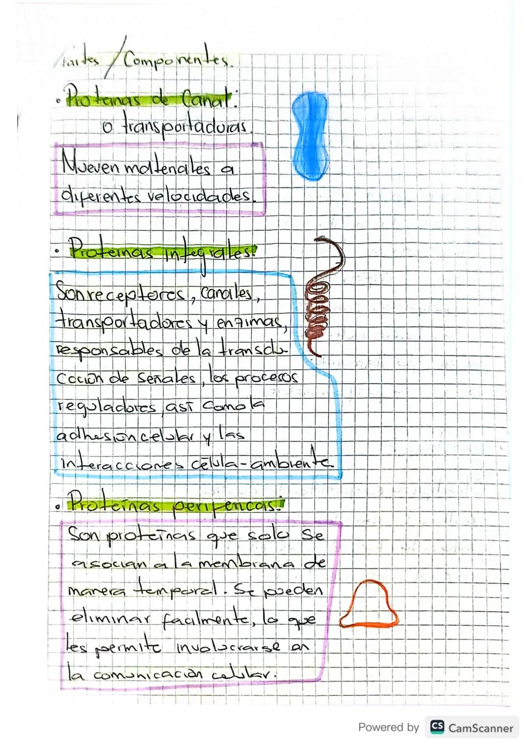b
Membrana Celular
•Separa a la Celula de su entorno.
muy
• Contruir una barrera Con permeabilidad
selectiva, controlando el intercambio de