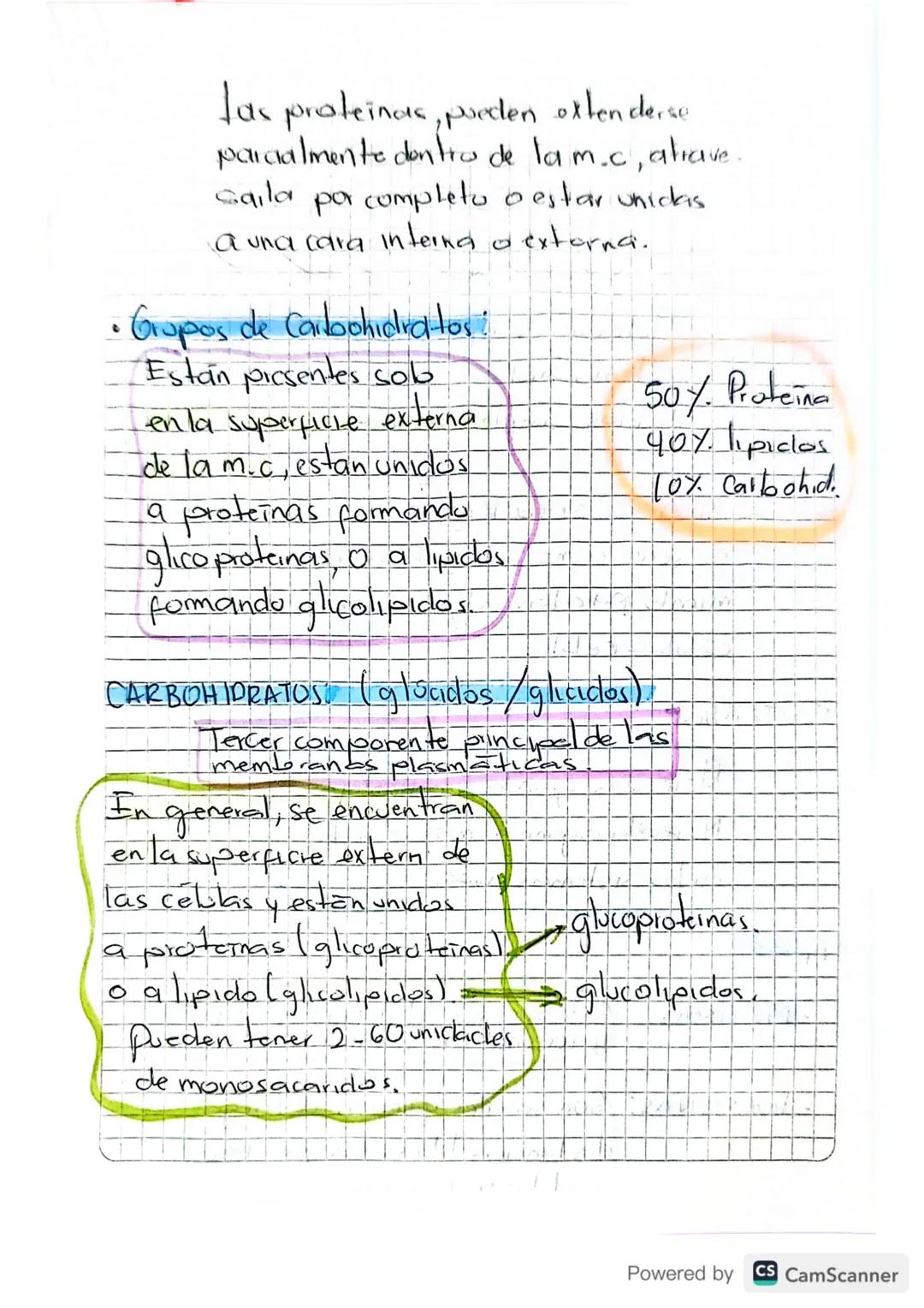 b
Membrana Celular
•Separa a la Celula de su entorno.
muy
• Contruir una barrera Con permeabilidad
selectiva, controlando el intercambio de