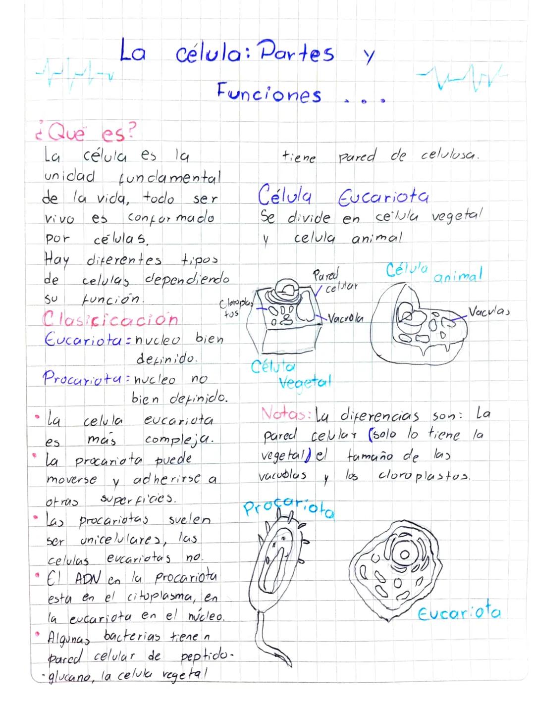 # La célula: Partes y
Funciones
¿Que es?
La célula es la tiene Pared de celulusa.
unidad fundamental.
de la vida, todo ser Célula Eucar