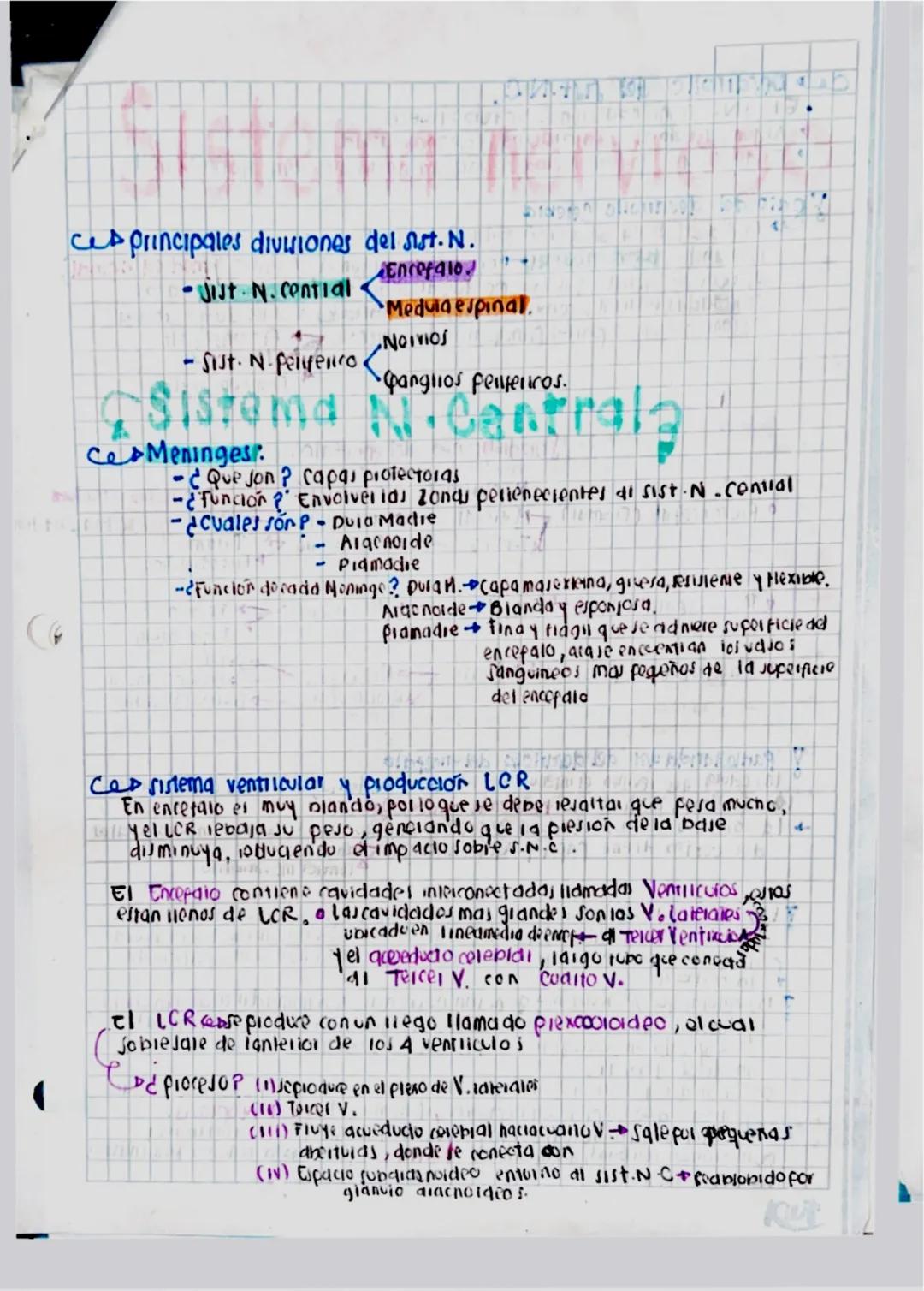 4
Ces principales divisiones del sist. N.
- Jist N. Central
- Sist. N. pelifeno.
Sistema
Ce&Meninges.
Encefalo
Medula espinal
NOVIOS
•Gangli