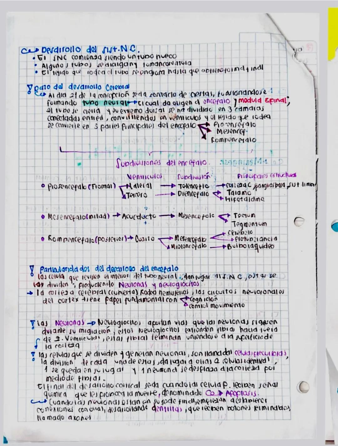 4
Ces principales divisiones del sist. N.
- Jist N. Central
- Sist. N. pelifeno.
Sistema
Ce&Meninges.
Encefalo
Medula espinal
NOVIOS
•Gangli