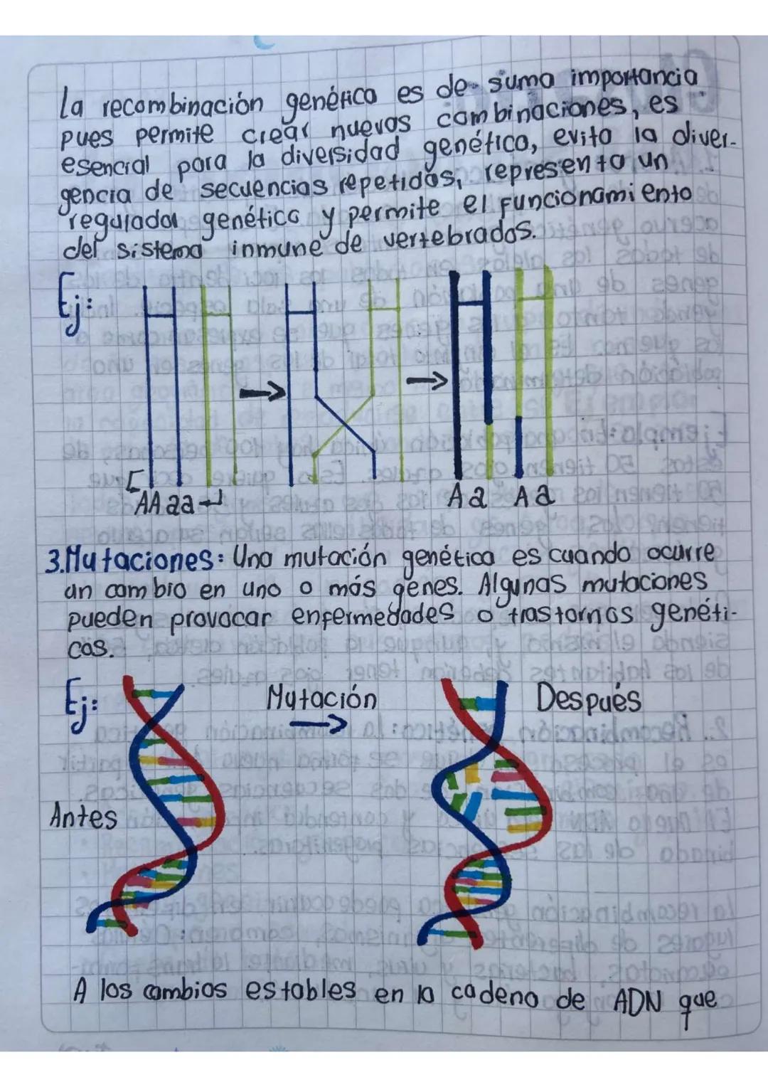 # Glosario:
1. Acervo genético: Colección de diferentes genes
dentro de una población cruzada. El concepto de
acervo genético generalmente