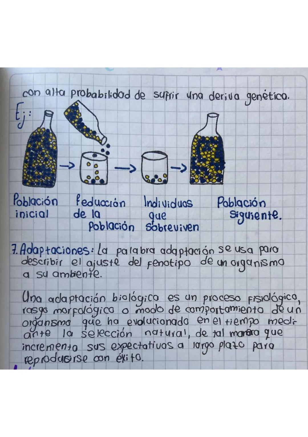 # Glosario:
1. Acervo genético: Colección de diferentes genes
dentro de una población cruzada. El concepto de
acervo genético generalmente