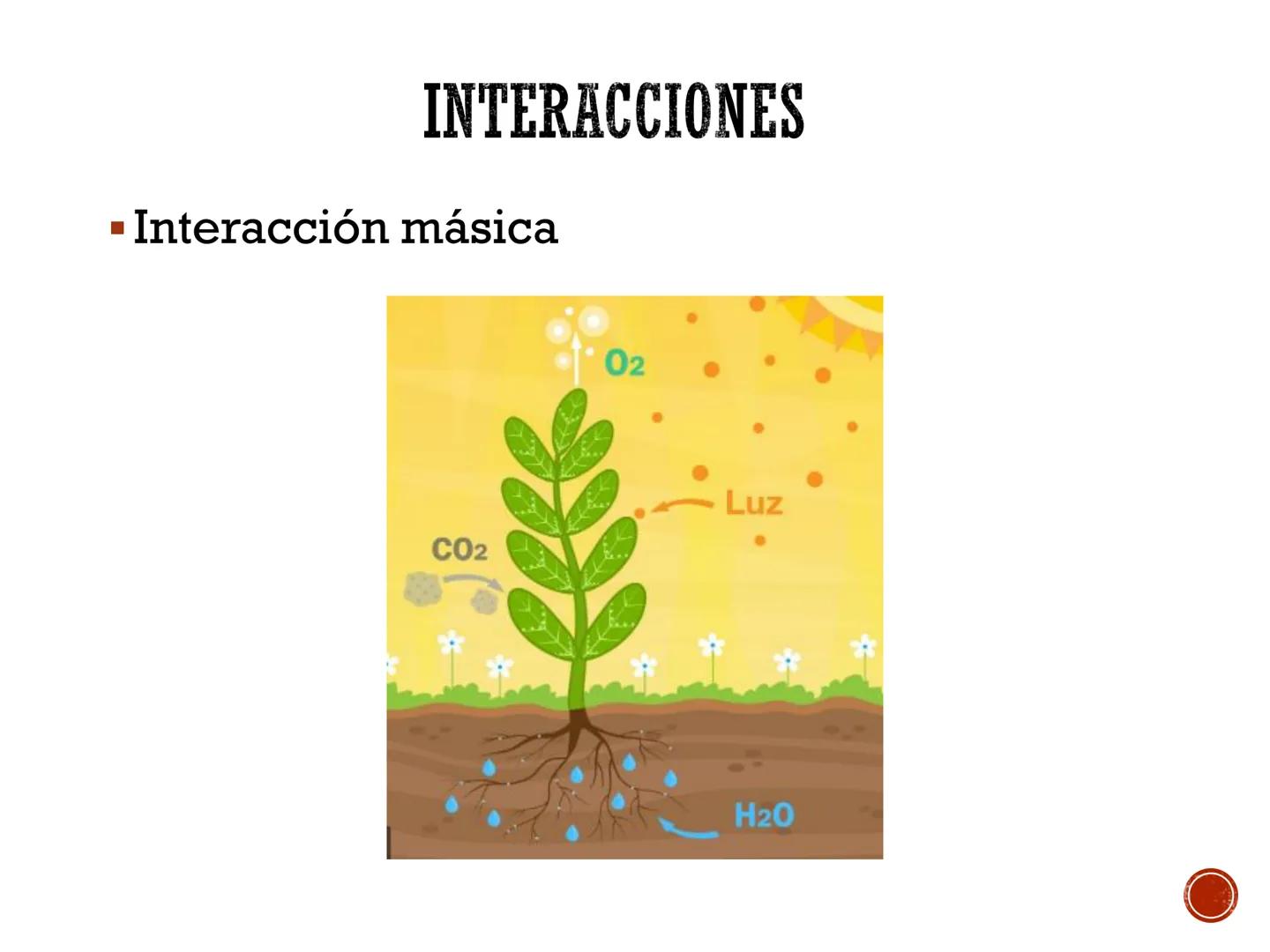 # PRINCIPIOS BÁSICOS
# PARA EL ESTUDIO DE LA
# TERMODINÁMICA # SISTEMA TERMODINÁMICO
# PARED / FRONTERA /SUPERFICIE DE
# CONTROL
Valvula d
